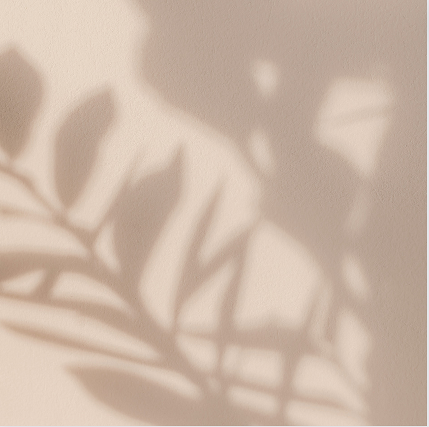 Image à but décoratif. Il s'agit d'un fond beige avec l'ombre d'une branche par dessus. Cette photo a un but esthétique.